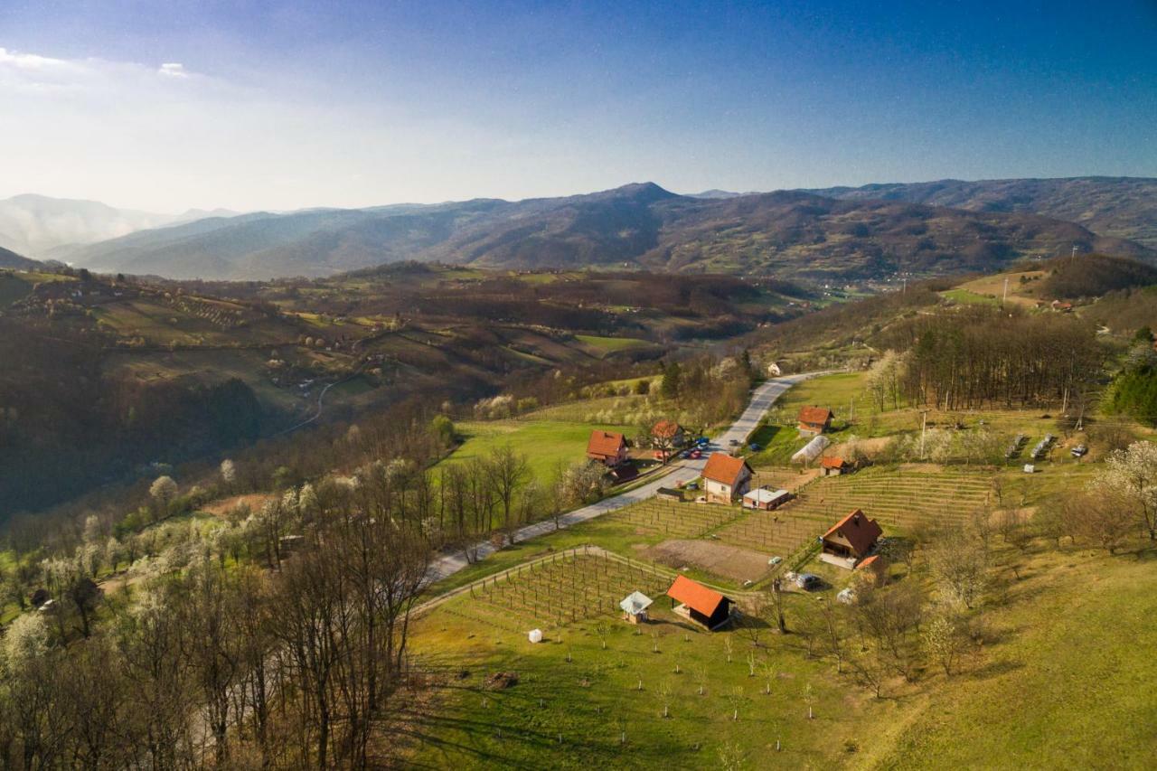 Brvnara Na Bregu Vila Bajina Basta Exterior foto