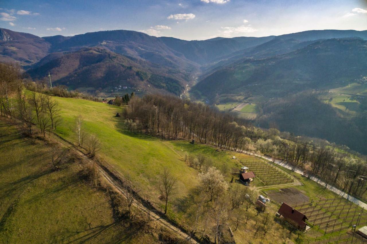 Brvnara Na Bregu Vila Bajina Basta Exterior foto