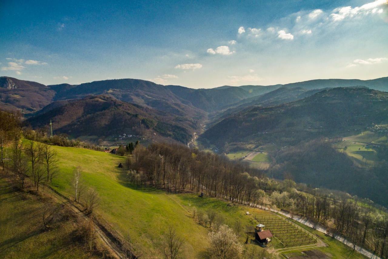 Brvnara Na Bregu Vila Bajina Basta Exterior foto