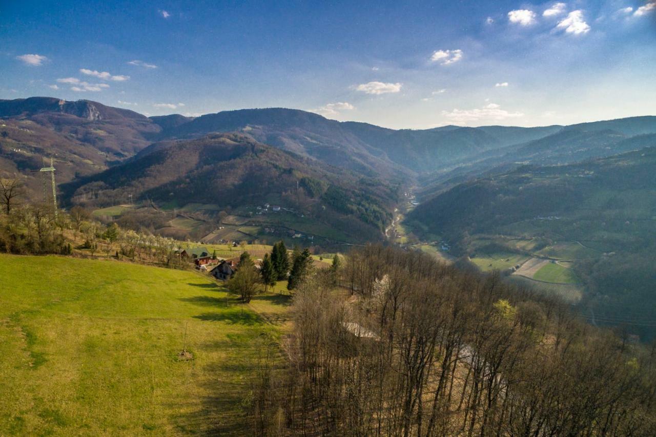 Brvnara Na Bregu Vila Bajina Basta Exterior foto